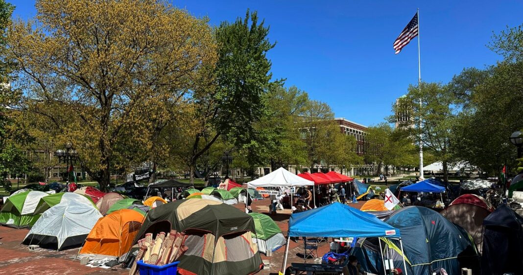 as-acusacoes-cairam-contra-manifestantes-do-campus-pro-palestinos-na-universidade-de-michigan