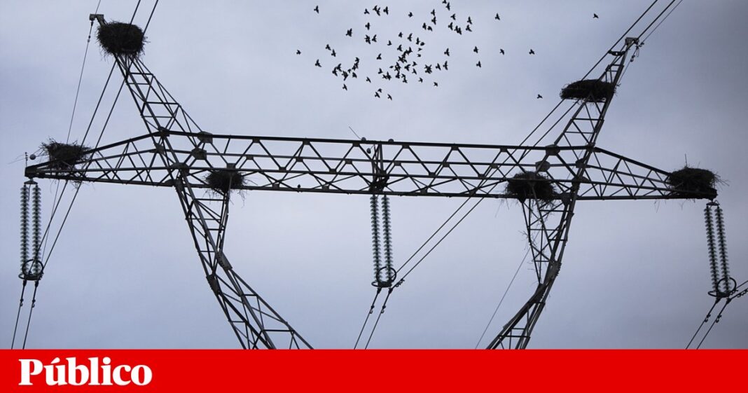 portugal-retoma-amanha-as-importacoes-de-eletricidade,-mas-com-limites-ate-o-dia-12
