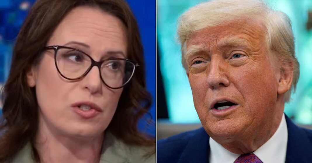 maggie-haberman-explica-por-que-o-governo-trump-lutara-para-suspender-o-habeas-corpus