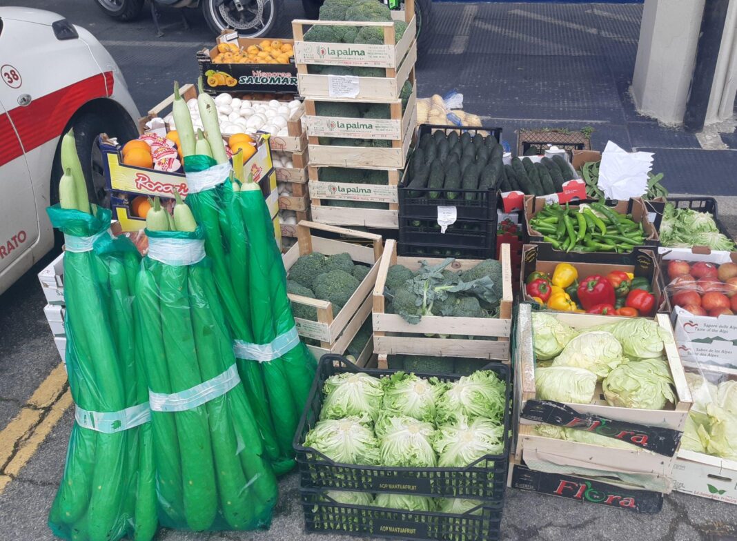comercio-abusivo-em-prato,-vendedores-ilegais-sancionados-de-frutas-e-vegetais