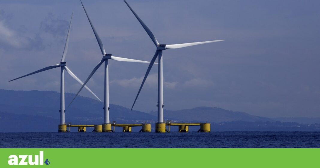 offshore-wind-park-largo-de-viana-do-castelo-270-especies