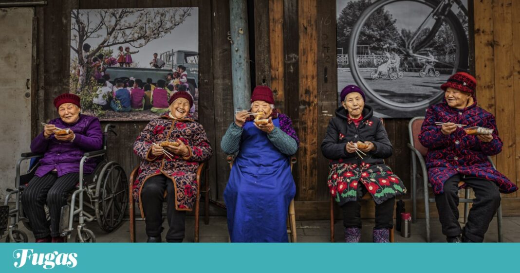estas-sao-as-melhores-fotografias-de-comida-do-mundo-e-um-ovo-portugues-foi-distinguido
