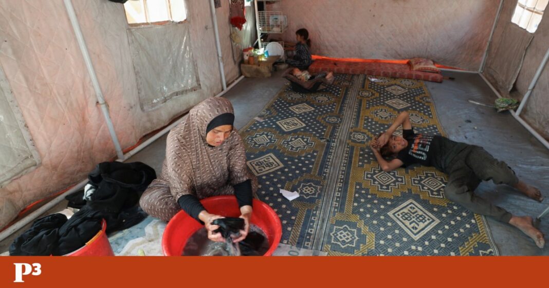 meio-quilo-de-lentilhas,-meia-batata:-o-diario-lento-de-uma-familia-gaza-para-a-fome