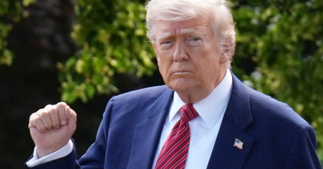 trump-diz-ele
