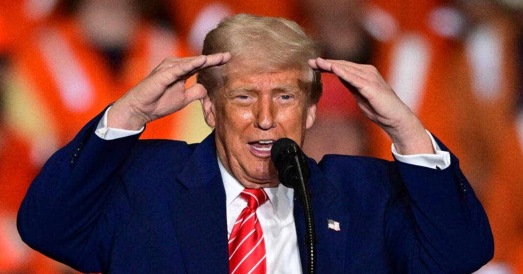 trump-se-dirige-a-elon-musk