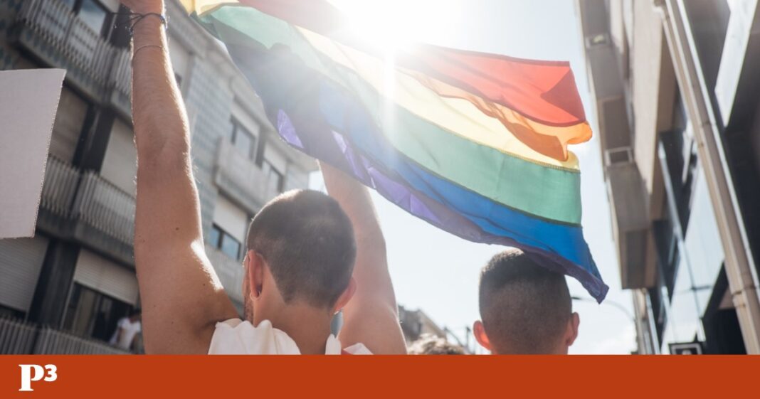 ativistas-sobre-o-novo-parlamento:-“lgbt+-direitos+-comecam-facilmente-a-ser-questionados”