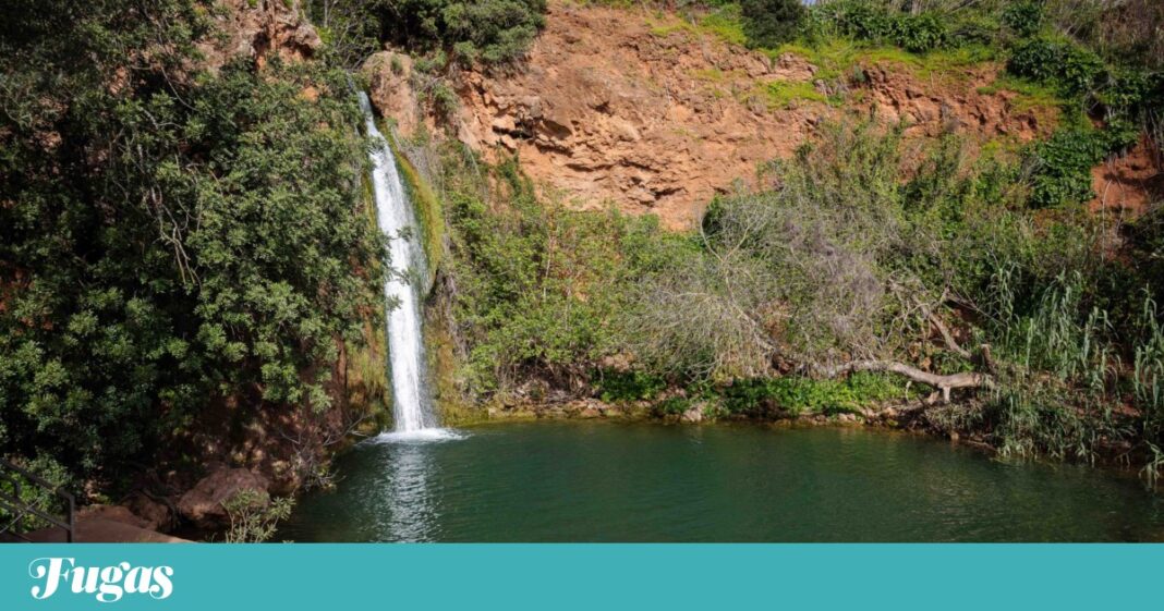 ecovenas-seal-de-agua-empresas-algarvios-savelaram-13%-da-agua-em-um-ano