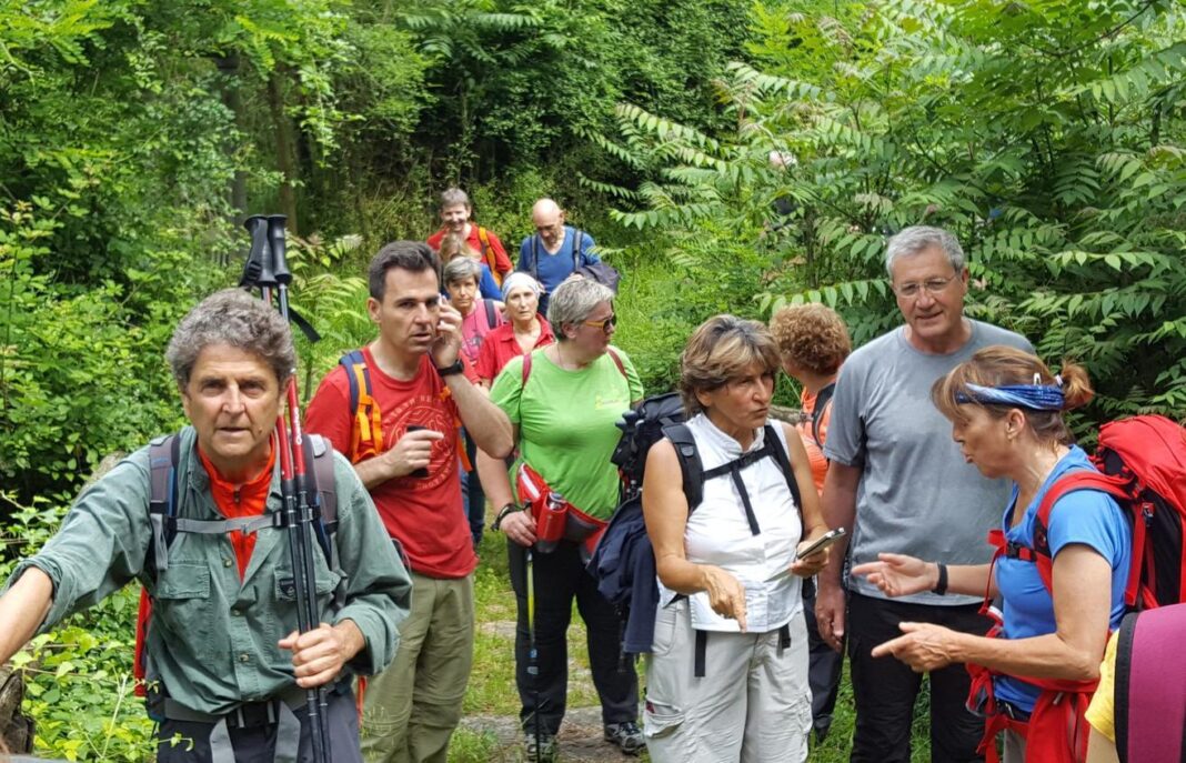 settingponti,-o-caminho-do-espirito:-“entre-chefes-paroquiais-e-voa-para-se-encontrar”