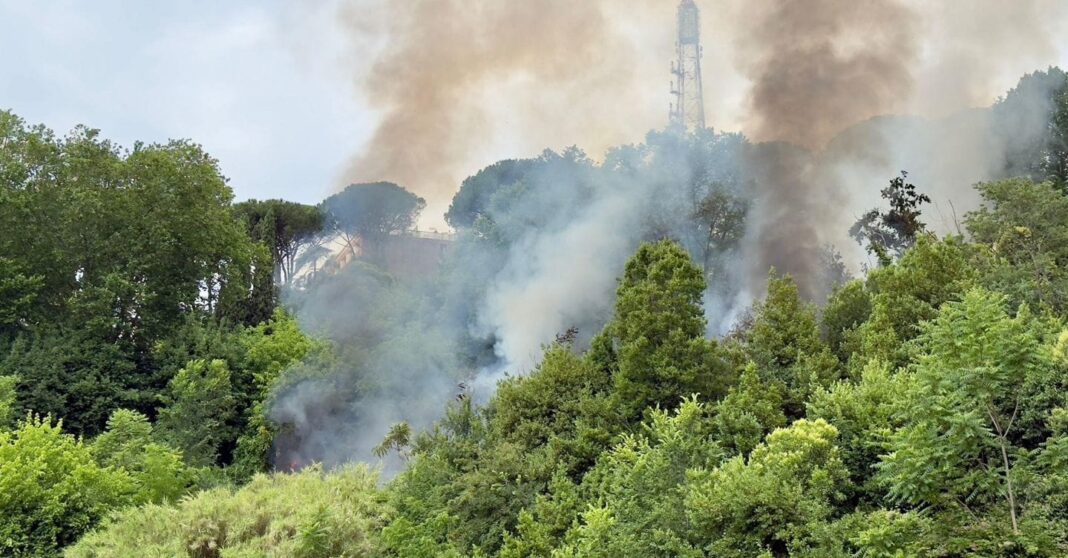 incendios,-em-2024-em-fumaca,-mais-de-51-mil-hectares.-camisa-preta-da-sicilia,-calabria-e-sardenha