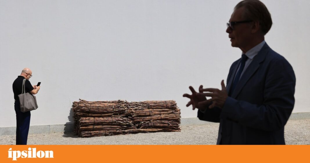 testes-de-materiais,-em-serralves,-reune-obras-de-oito-artistas-nascidos-em-1984