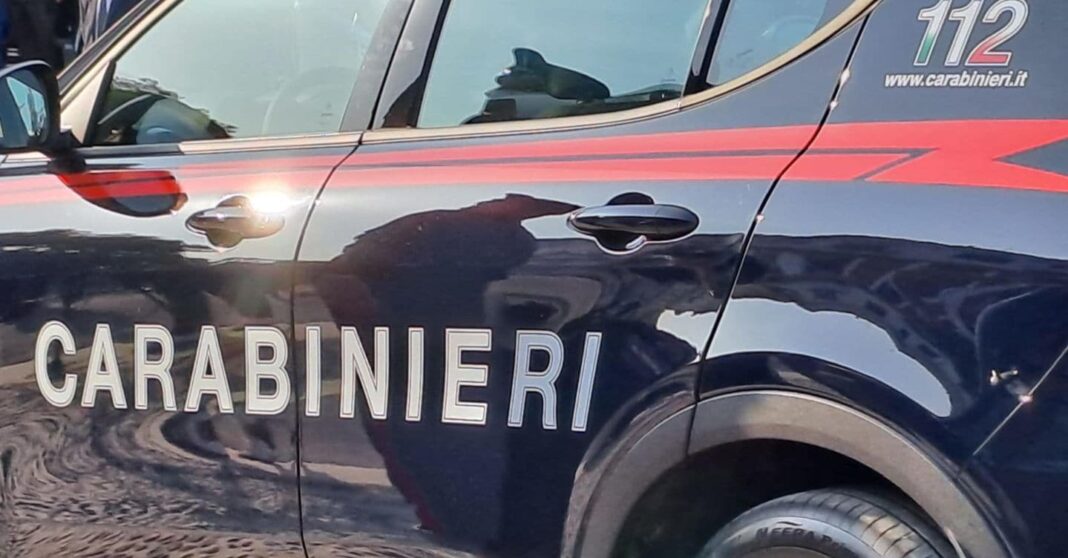 feto-em-cesto-de-residuos-no-hospital-piacenza
