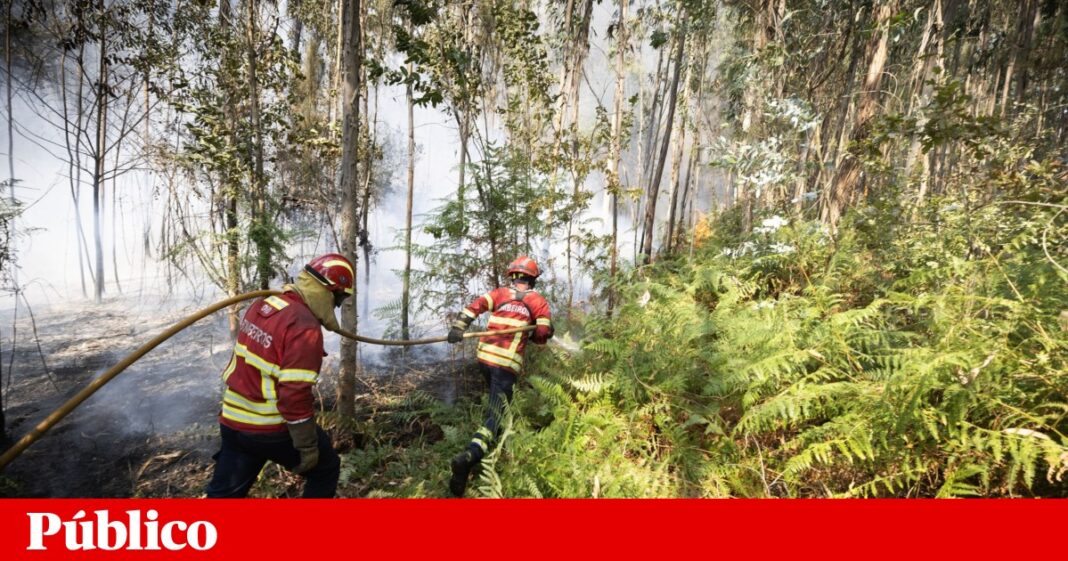 este-ano,-22-pessoas-ja-foram-detidas-por-incendio-e-287