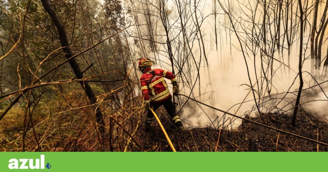 onda-de-calor:-cerca-de-80-municipios-no-risco-maximo-de-incendio