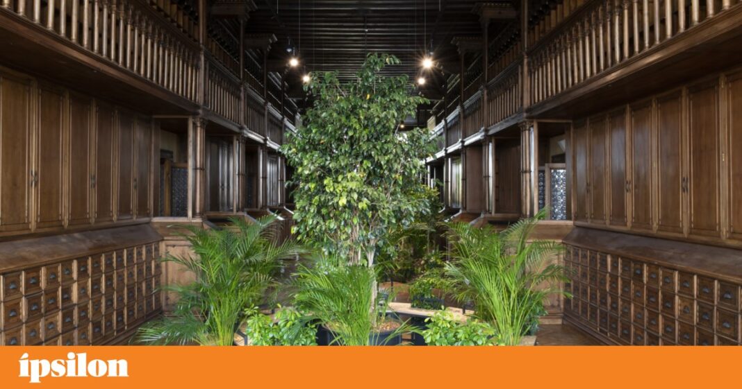 dgartes-abre-a-entrega-de-propostas-para-representar-portugal-na-bienal-da-arte-de-veneza