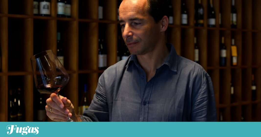 “o-douro-tambem-e-isso.”-tambem-faz-vermelhos-super-elegantes-e-frescos
