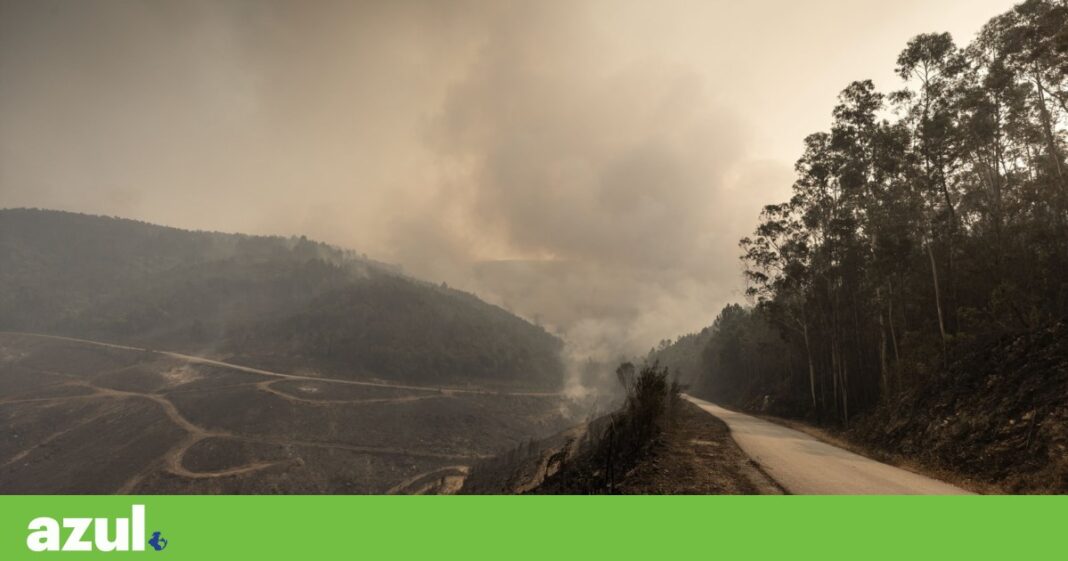existem-mais-de-20-municipios-no-fogo-maximo-nesta-quinta-feira