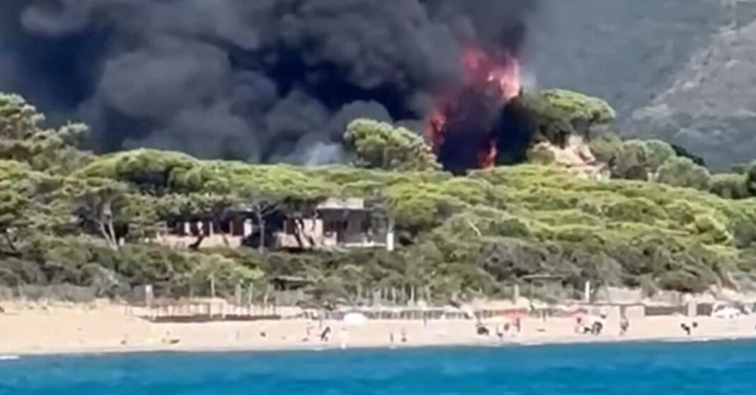 camping-fire-em-castiglione-della-pescaia:-600-evacuados.-chamas-na-floresta-de-pinheiros-calvino