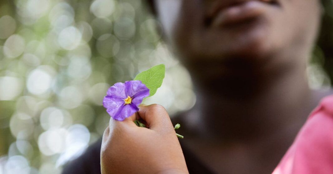salvar-as-criancas:-no-mundo-12,3-milhoes-de-menores-vitimas-de-exploracao-e-escravidao-moderna