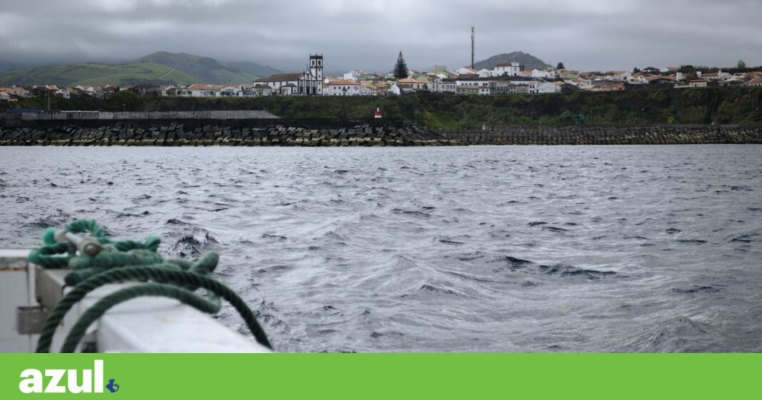 a-universidade-dos-acores-estudara-o-impacto-da-protecao-marinha-na-pesca-local