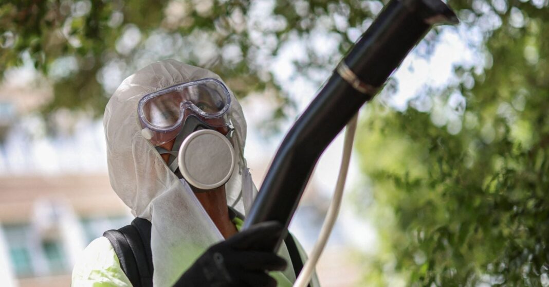 chikungunya,-segundo-caso-autoctono-em-veneto:-qual-e-a-doenca-que-“torceu”