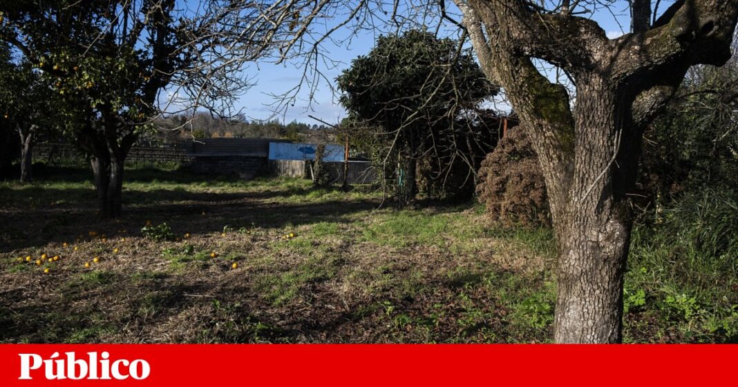 ha-mais-busca-por-solos-rusticos,-mas-nao-para-moradia