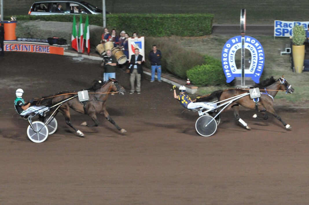 montecatini-terme,-em-direcao-ao-gp-de-ferragosto-no-hipodromo-de-sesana.-o-elenco-dos-cavalos