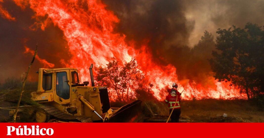 o-morador-de-lousa-village-liberou-veados-para-escapar-dos-incendios
