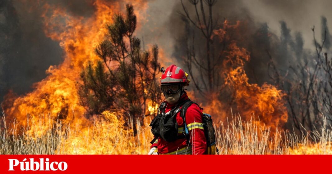 em-um-dia-com-59-incendios,-o-montenegro-confia-na-resposta-e-esta-disponivel-para-ser-examinado