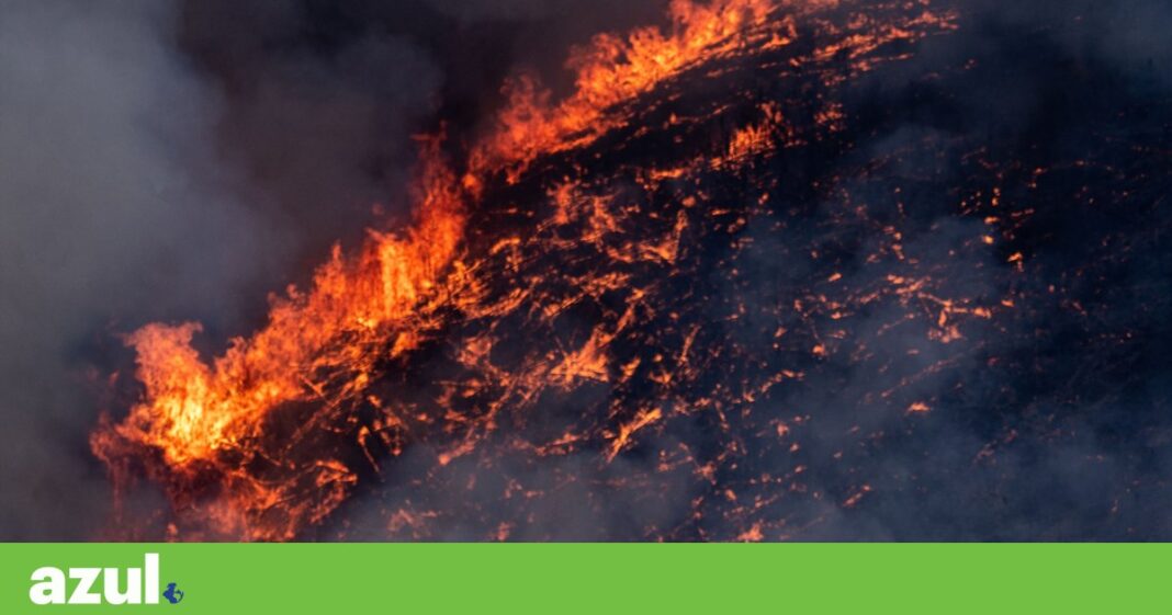 florestas-particulares-sao-mais-propensas-a-incendios-graves