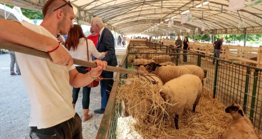 em-vicchio,-e-hora-de-‘hot-fair’-de-28-a-31-de-agosto