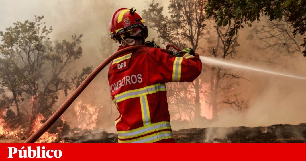 morreu-o-homem-ferido-no-fogo-do-sabugal.-incendios-ja-mataram-quatro-pessoas