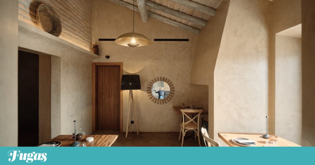 em-raya-e-bread-&-pizza,-a-agricultura-regenerativa-serve-a-mesa