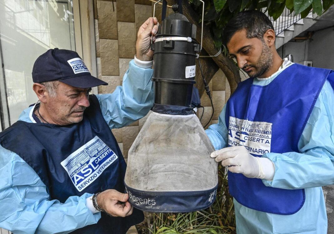 nilo-ocidental,-primeiro-caso-na-umbria-uma-mulher-contraiu-o-virus.-o-tratamento-anti-vida-ocorre